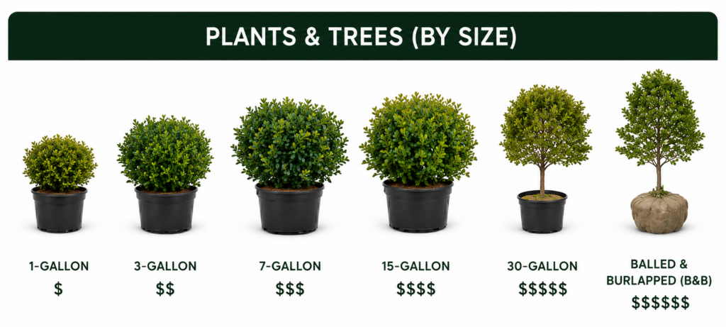 landscaping pricing for plants and trees clemson sc